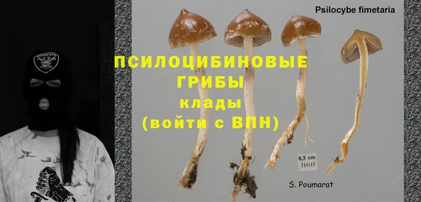 эйфоретик Абаза