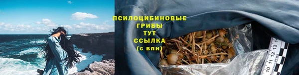PSILOCYBIN Абдулино