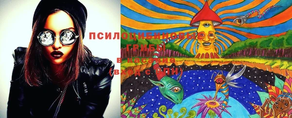 твердый Абинск